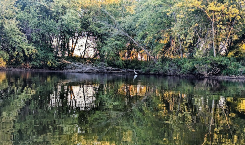 A serene river scene with trees reflecting in the water, capturing a peaceful natural landscape at sunset.