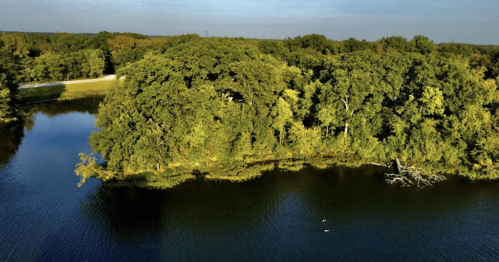 Aerial view of a serene lake surrounded by lush green trees under a clear blue sky.