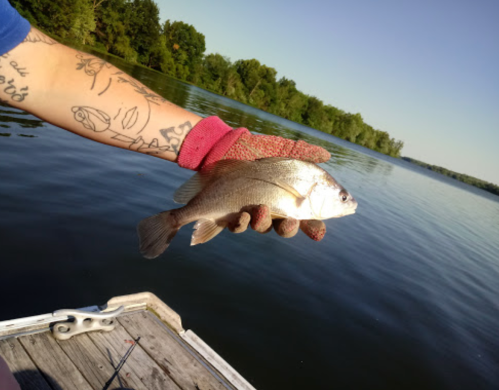 A person wearing a glove holds a fish by a calm lake, with trees visible in the background.