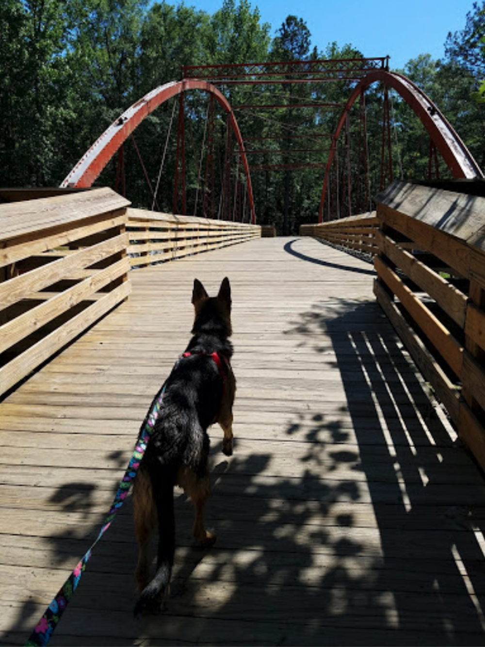 Van de Graff Arboretum and Historic Bridge Park