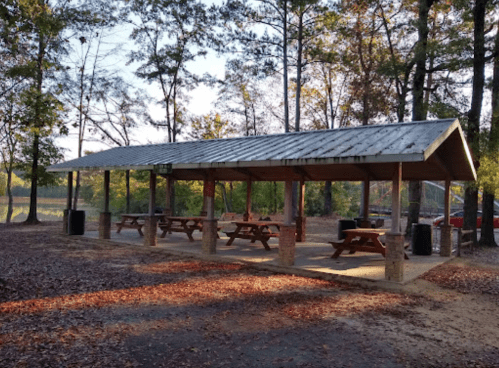 A covered picnic area with wooden tables surrounded by trees and fallen leaves in a park setting.