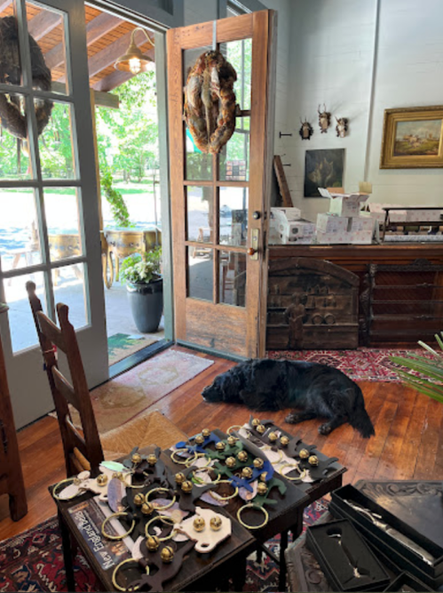 A black dog lies on the floor near an open door, surrounded by jewelry displayed on a table in a cozy shop.