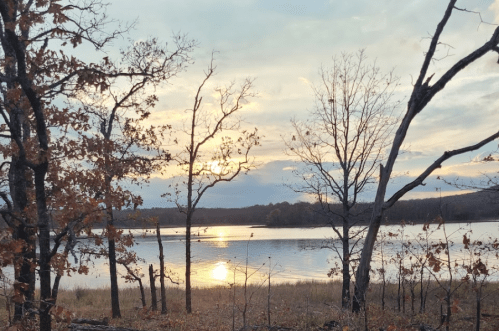 A serene lakeside scene at sunset, with silhouetted trees and soft reflections on the water.