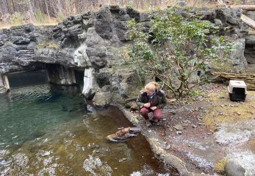 A child crouches by a rocky stream, observing the water near a small bush and a pet carrier in the background.