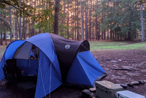 A blue camping tent set up in a forest clearing, surrounded by trees and a cooler nearby.