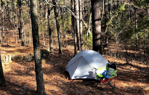 A tent and a camping chair set up in a wooded area with fallen leaves and tall trees.