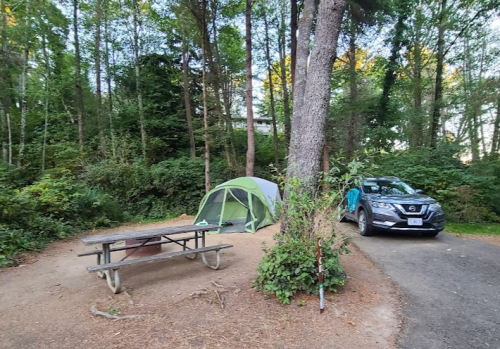 A campsite with a green tent, picnic table, and a parked SUV surrounded by trees and greenery.
