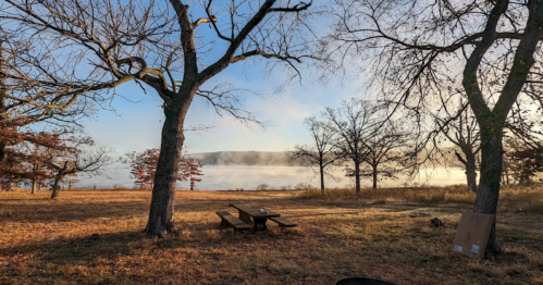 A serene landscape with bare trees, a foggy lake in the background, and a picnic area on a grassy field.
