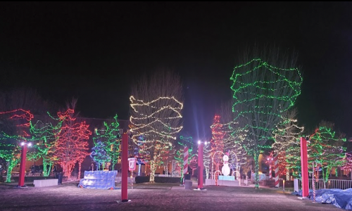 Colorful holiday lights illuminate trees and a snowman in a festive outdoor display at night.