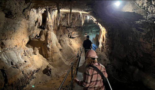 A group of people walking on a path through a dimly lit cave with stalactites and rock formations.