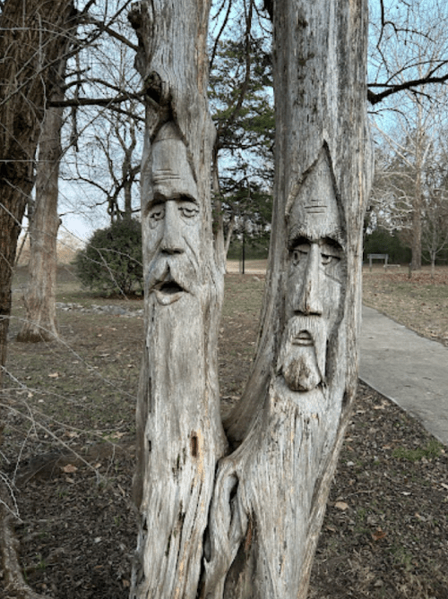 Two carved faces in a weathered tree trunk, surrounded by a park setting with bare trees and a pathway.