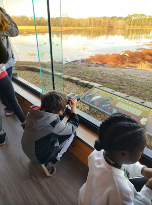 A child crouches by a window, observing water birds outside, while another child sits nearby.