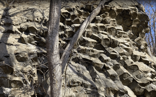 A rocky cliff face with hexagonal formations and a bare tree trunk in the foreground.