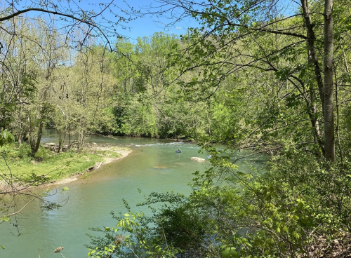 A serene river flows through a lush green forest under a clear blue sky.