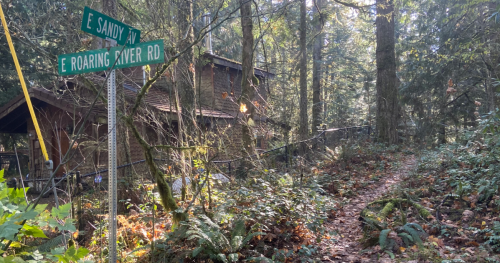 A forested path leads to a wooden cabin, with a signpost for E Sandy Ave and E Roaring River Rd.