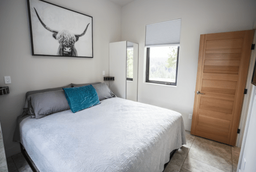 Cozy bedroom with a large bed, decorative pillow, and a window featuring a scenic view. Modern decor and wooden door.