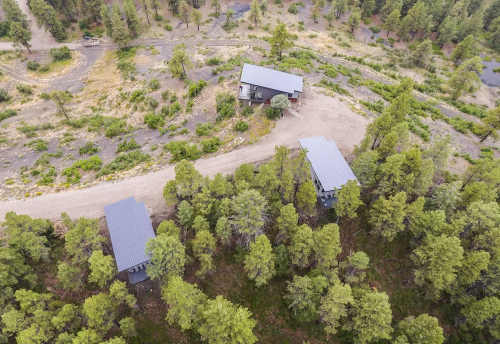 Aerial view of modern cabins nestled among tall trees on a winding dirt road in a natural landscape.