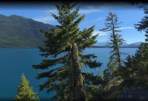 A serene lake surrounded by lush green trees and mountains under a clear blue sky.