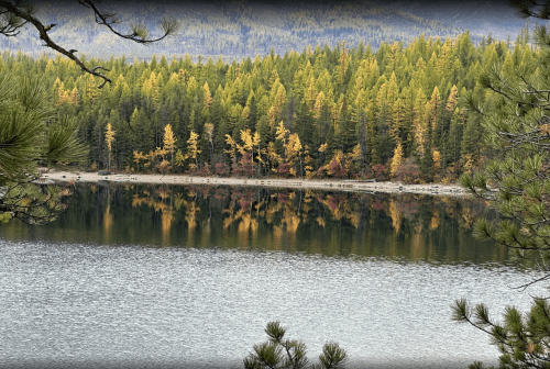 A serene lake surrounded by trees with autumn foliage, reflecting the colorful landscape on the water's surface.