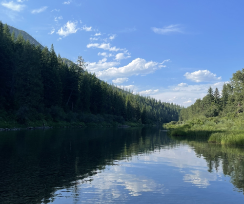 A serene river scene surrounded by lush green trees and mountains under a clear blue sky with fluffy clouds.