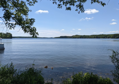 A serene lake view with clear blue water, green trees, and a bright sky dotted with fluffy clouds.