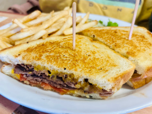 A close-up of a toasted sandwich filled with meat and cheese, served with a side of French fries.