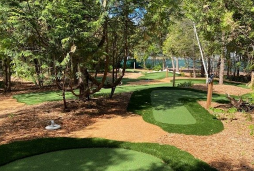 A scenic mini-golf course surrounded by trees, featuring green turf and winding paths.