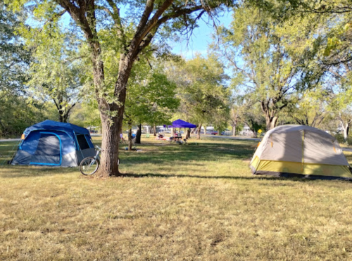 Two tents set up in a grassy park area, surrounded by trees and a blue sky. A bicycle is nearby.