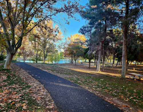 A serene park path lined with trees, showcasing autumn foliage and a calm lake in the background.