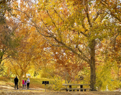 Three people stand under vibrant autumn trees with golden leaves, near a picnic area in a park.