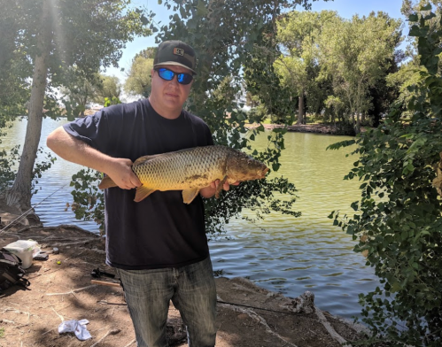 A person wearing sunglasses holds a large fish by a lake, surrounded by trees and greenery.