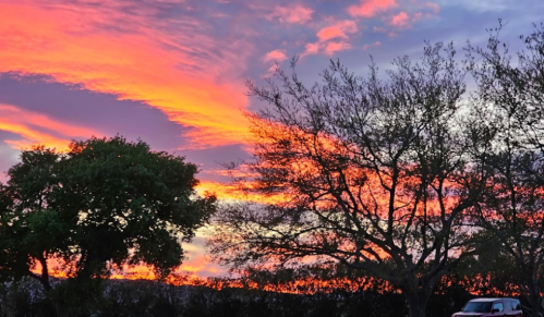 Vibrant sunset with orange and pink hues behind silhouetted trees and a distant vehicle.