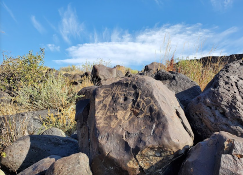 Petroglyphs carved into a large rock, surrounded by shrubs and a clear blue sky with wispy clouds.