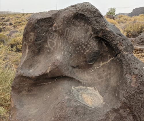 Petroglyphs etched into a large rock, surrounded by dry grass and sparse vegetation in a rocky landscape.