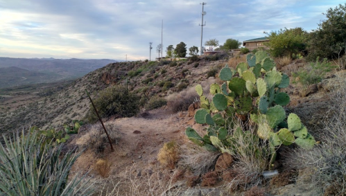 A desert landscape with cacti, rocky terrain, and distant hills under a cloudy sky.