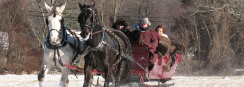 A horse-drawn sleigh with passengers travels through a snowy landscape. Trees are visible in the background.