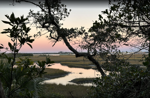 A serene landscape at dusk, featuring a winding waterway surrounded by marsh grass and silhouetted trees.