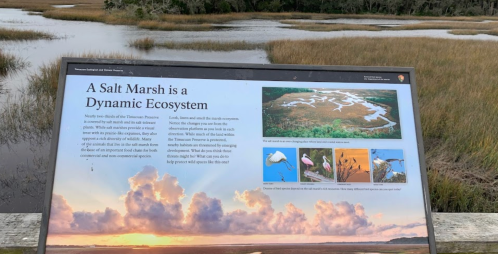 Sign explaining the dynamic ecosystem of a salt marsh, with a scenic view of marshland and water in the background.