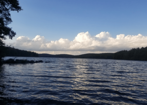 A serene lake surrounded by trees under a blue sky with fluffy clouds, reflecting on the water's surface.