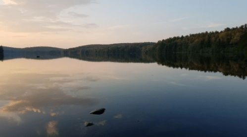 A serene lake at sunset, reflecting trees and a colorful sky, with calm water and distant hills.