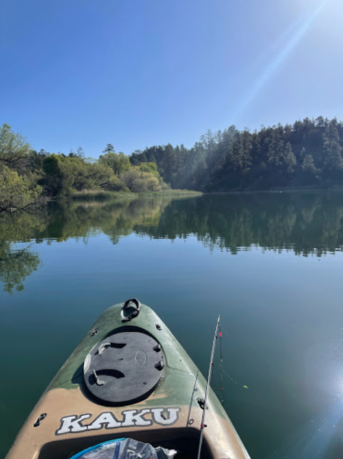 A kayak on calm water, surrounded by trees and a clear blue sky, with fishing gear visible.