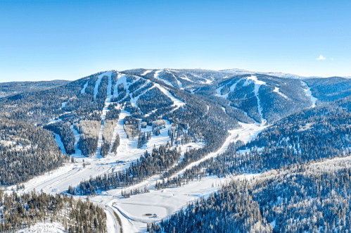 A panoramic view of snow-covered mountains and pine forests under a clear blue sky.