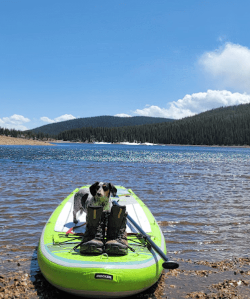 A dog sits on a green paddleboard by a lake, wearing boots, with mountains and blue sky in the background.