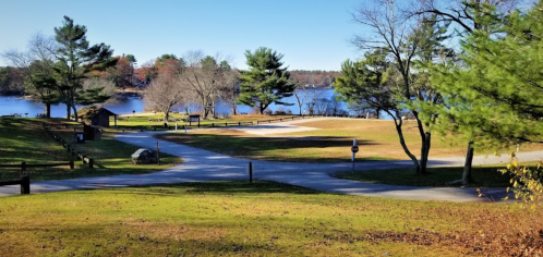 A serene lakeside view with trees, a grassy area, and a clear blue sky, perfect for outdoor activities.