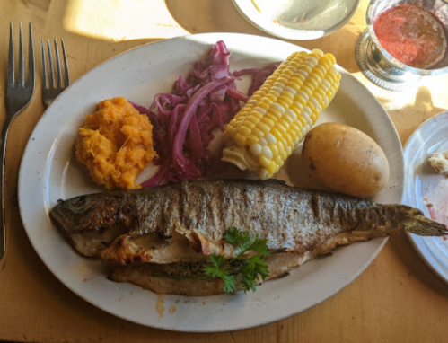 A plate with grilled fish, sweet potato, corn on the cob, red cabbage, and a potato, garnished with cilantro.