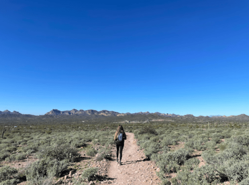 A person walking on a dirt path through a desert landscape with mountains in the background under a clear blue sky.