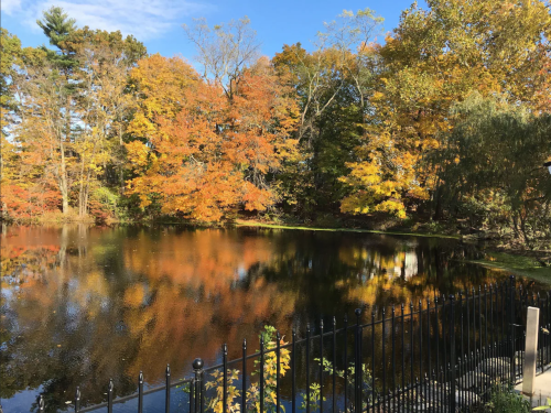 A serene pond surrounded by vibrant autumn trees reflecting in the water under a clear blue sky.