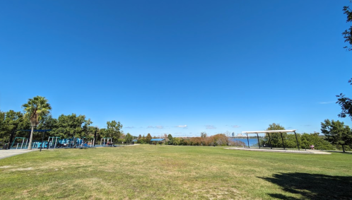 A sunny park with green grass, trees, and a clear blue sky, featuring exercise equipment and a shaded area.