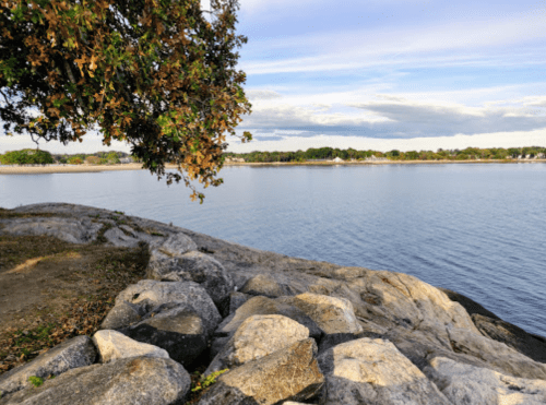 A serene lakeside view with rocks in the foreground and trees lining the shore under a blue sky.