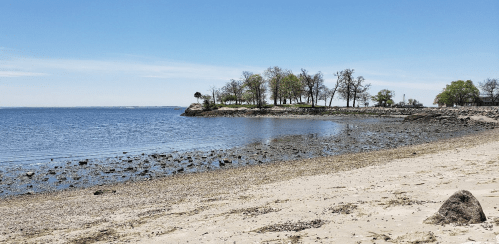 A serene beach scene with calm water, rocky shore, and trees lining the coast under a clear blue sky.